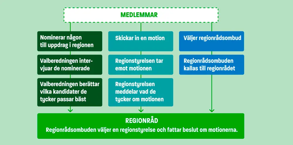 Infografik med rutor som beskriver hur medlemmar kan påverka på regionrådet med motioner, nomineringar och val av regionrådsombud. 