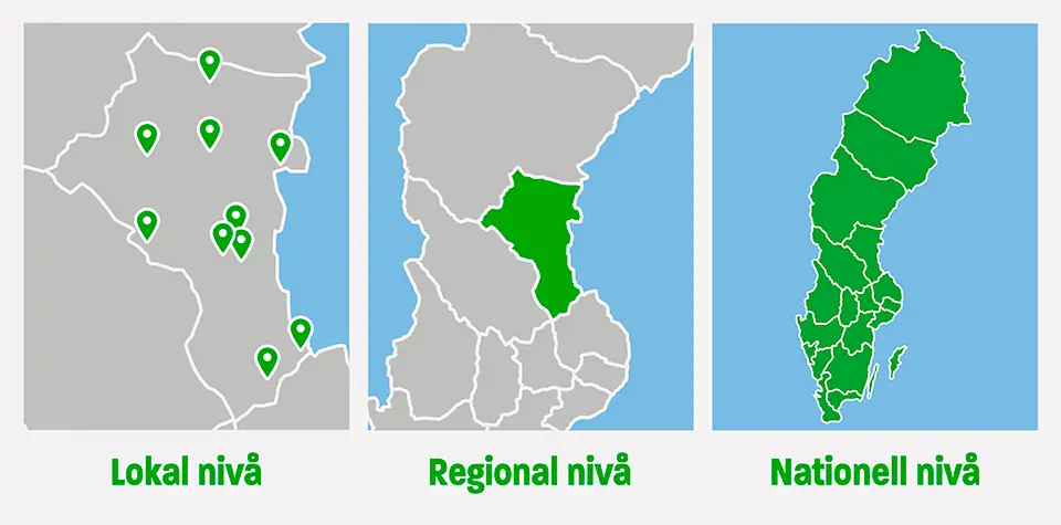 Grafisk bild som visar Unionens demokratiska nivåer från lokal til nationell nivå