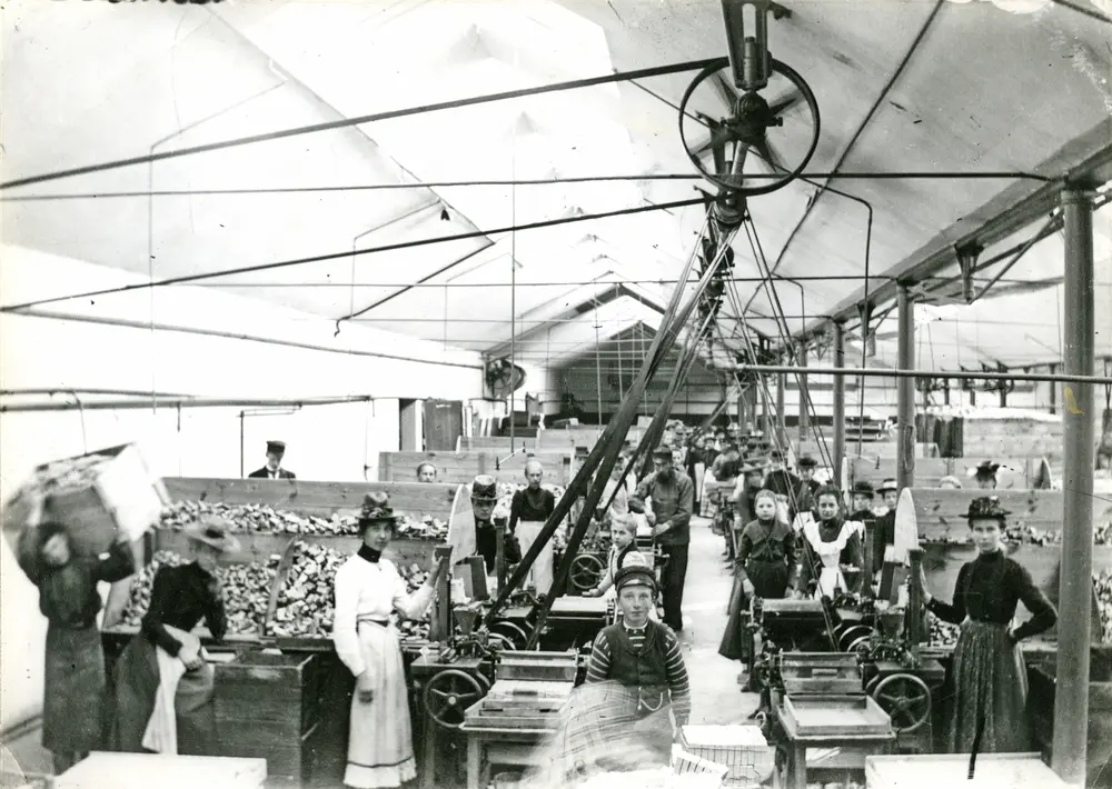 Vulcans tändsticksfabrik i Tidaholm 1 maj 1905. Foto Gustav Lidberg.