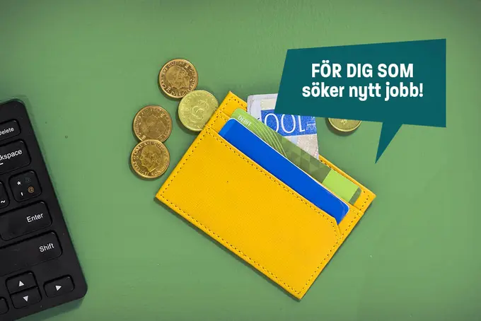 Lönecoachen - stöd och tips för dig som söker nytt jobb och ska förhandla lön